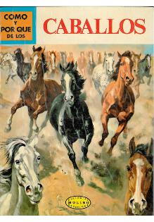 C�mo y por qu� de los caballos