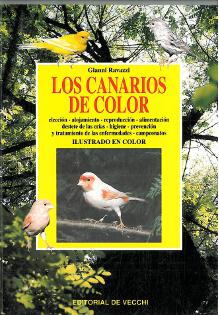 Canarios de color